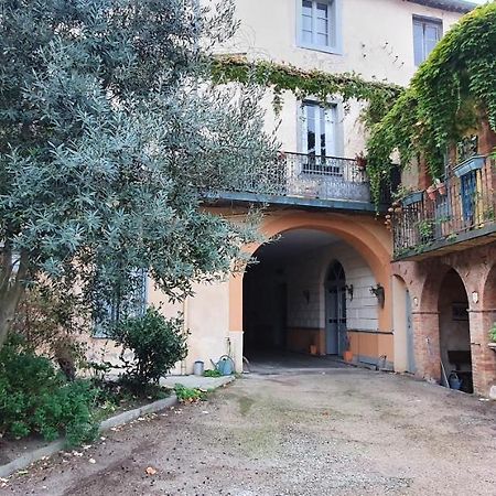 Un Petit Coin De France : A Cote De La Cite Medievale Apartman Carcassone Kültér fotó