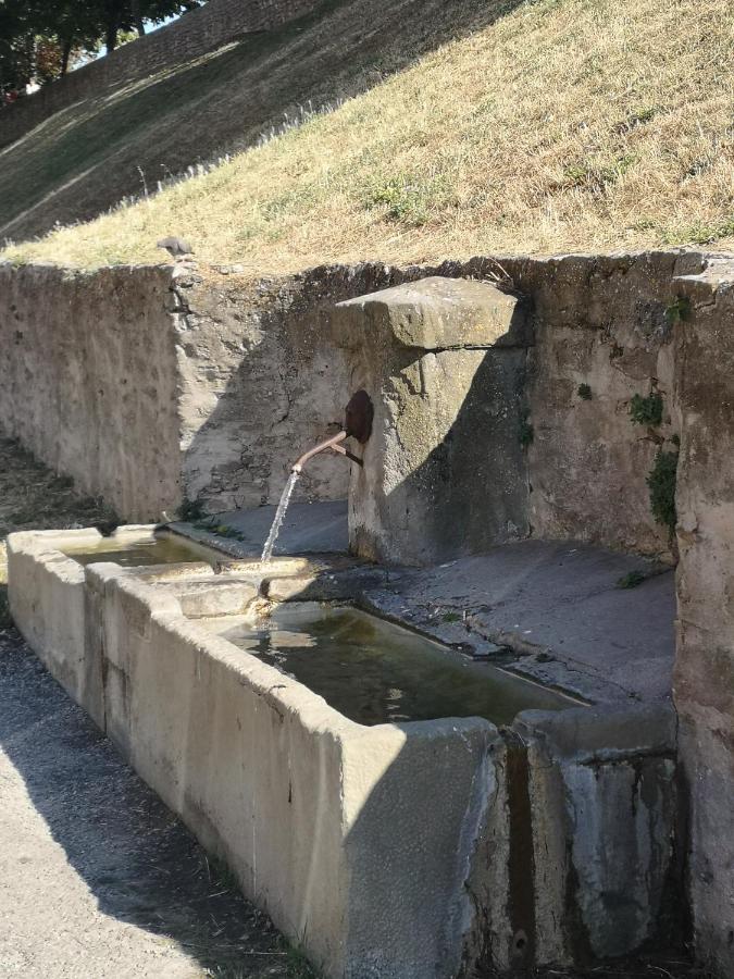 Un Petit Coin De France : A Cote De La Cite Medievale Apartman Carcassone Kültér fotó