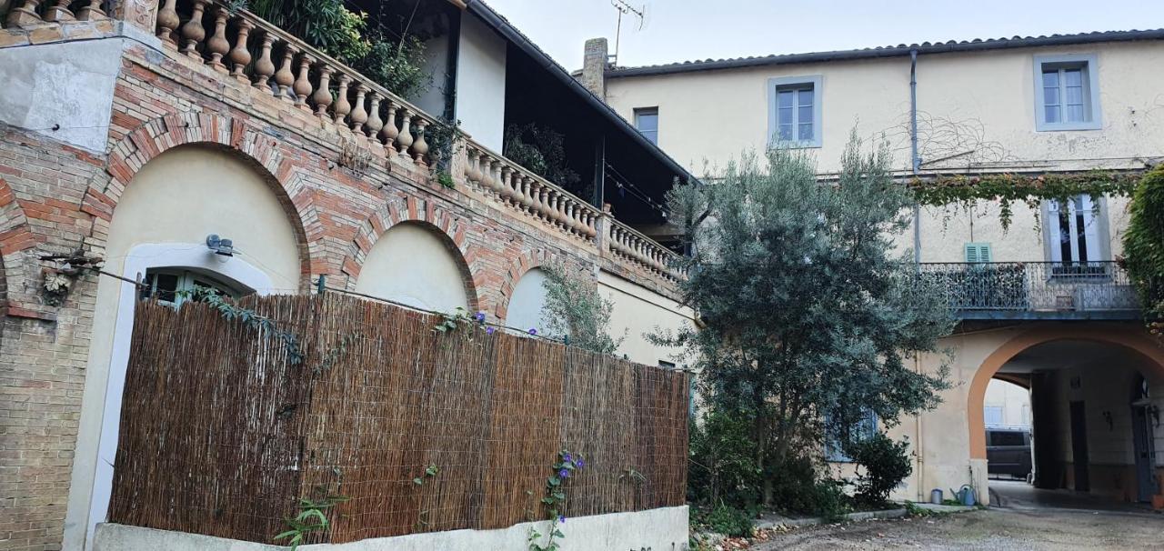Un Petit Coin De France : A Cote De La Cite Medievale Apartman Carcassone Kültér fotó